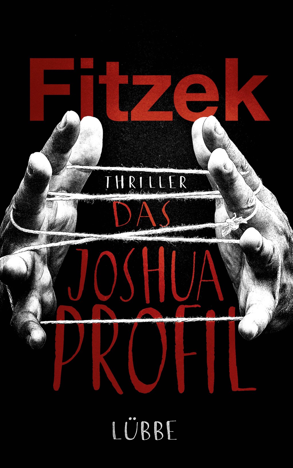 Sebastian Fitzek: Das Joshua-Profil